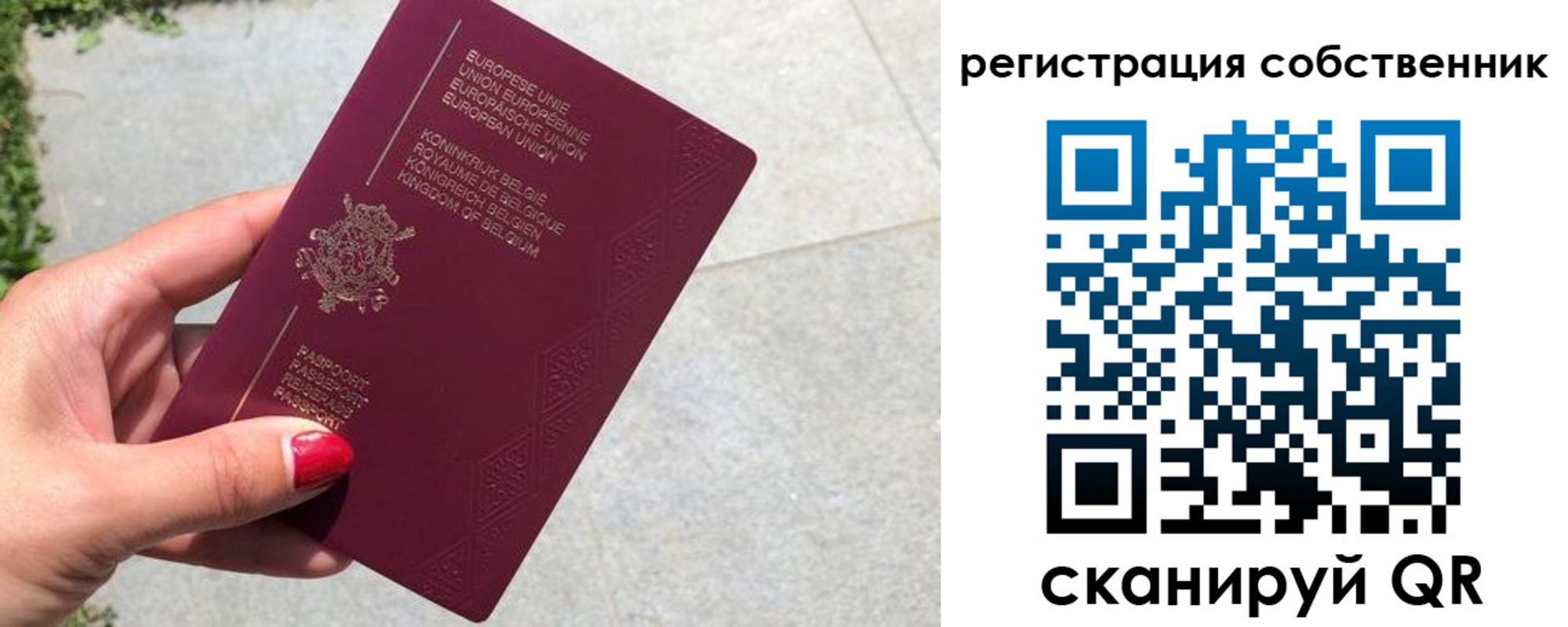 временная регистрация поиск в Клинцах